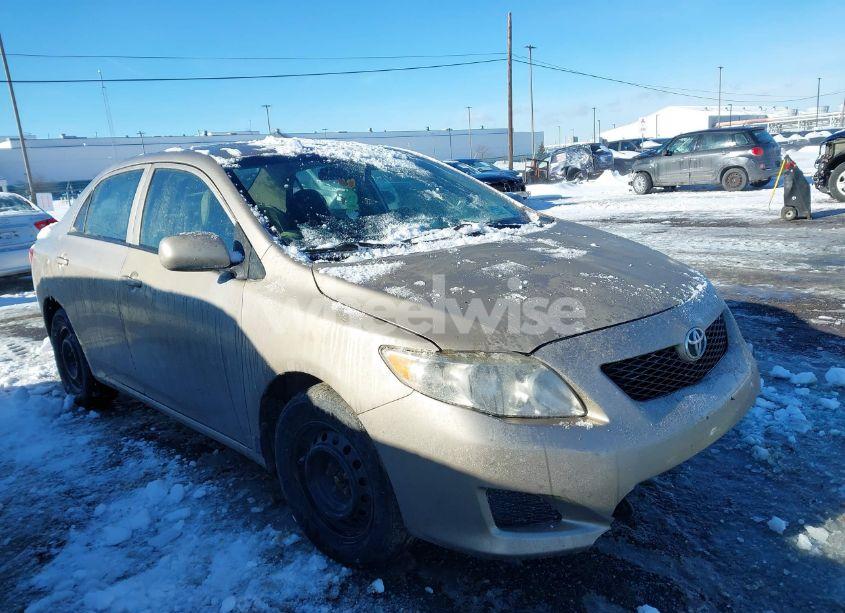 2010 Toyota Corolla LE (VIN 2T1BU4EE5AC288632) main photo
