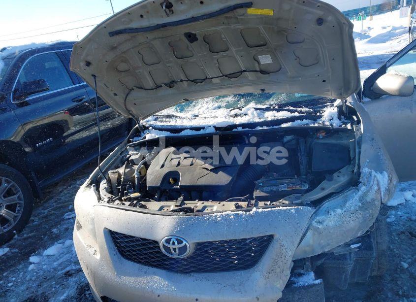 Photo 10 of 2010 Toyota Corolla LE (VIN 2T1BU4EE5AC288632)