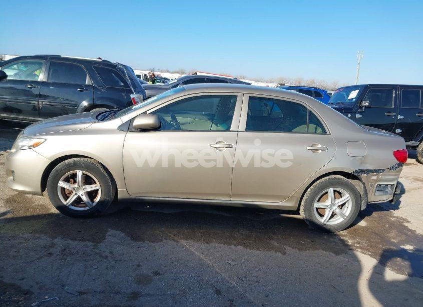 Photo 14 of 2010 Toyota Corolla LE (VIN 2T1BU4EE5AC297072)