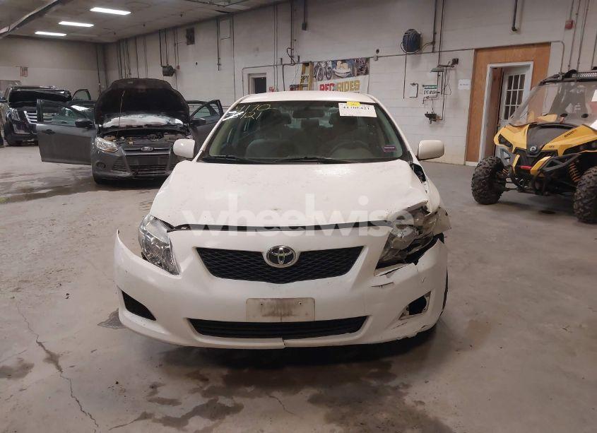 Photo 13 of 2010 Toyota Corolla LE (VIN 2T1BU4EE5AC361076)