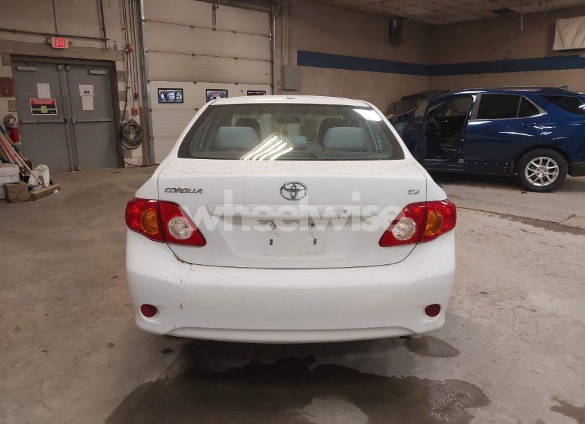 Photo 15 of 2010 Toyota Corolla LE (VIN 2T1BU4EE5AC361076)