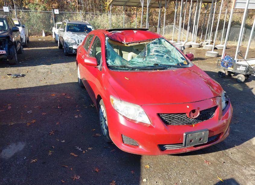 2010 Toyota Corolla LE (VIN 2T1BU4EE5AC393137) main photo