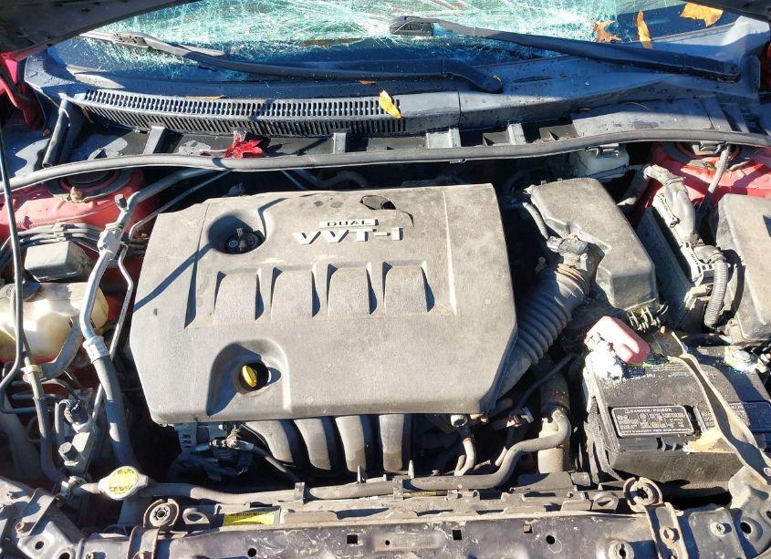 Photo 10 of 2010 Toyota Corolla LE (VIN 2T1BU4EE5AC393137)