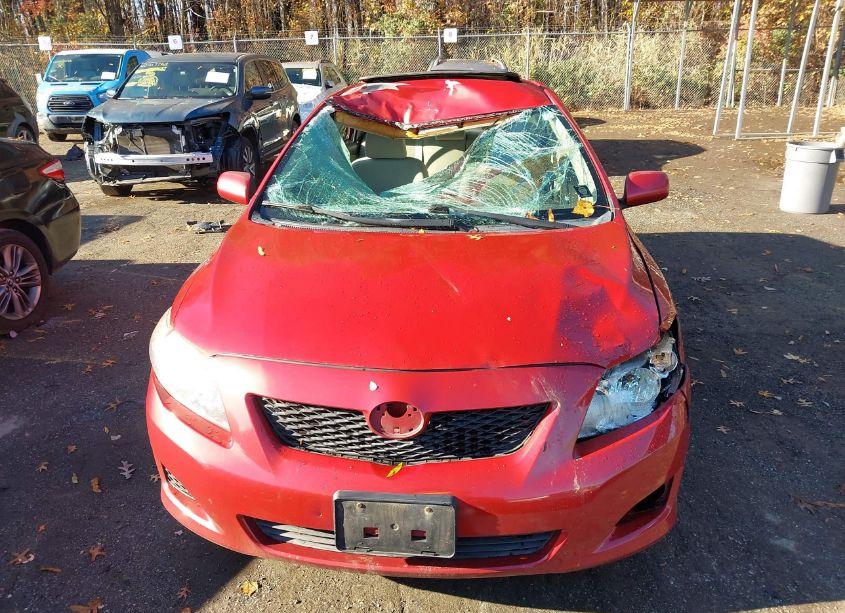 Photo 13 of 2010 Toyota Corolla LE (VIN 2T1BU4EE5AC393137)