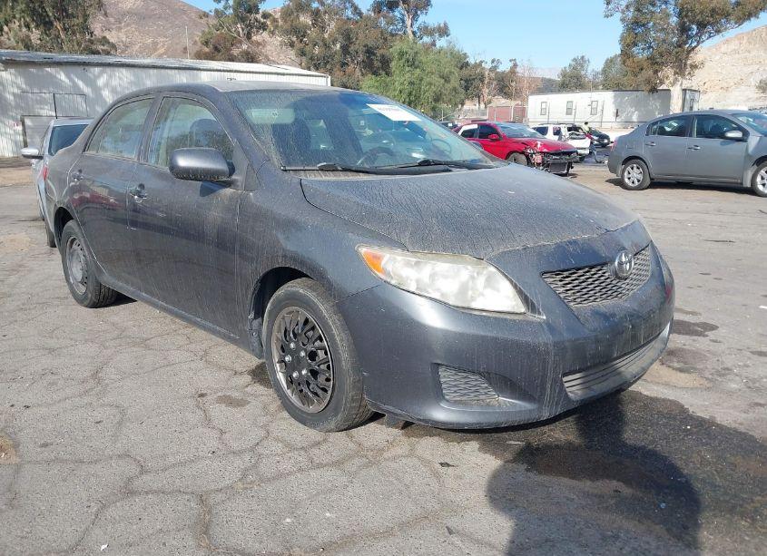 2010 Toyota Corolla LE (VIN 2T1BU4EE5AC428081) main photo