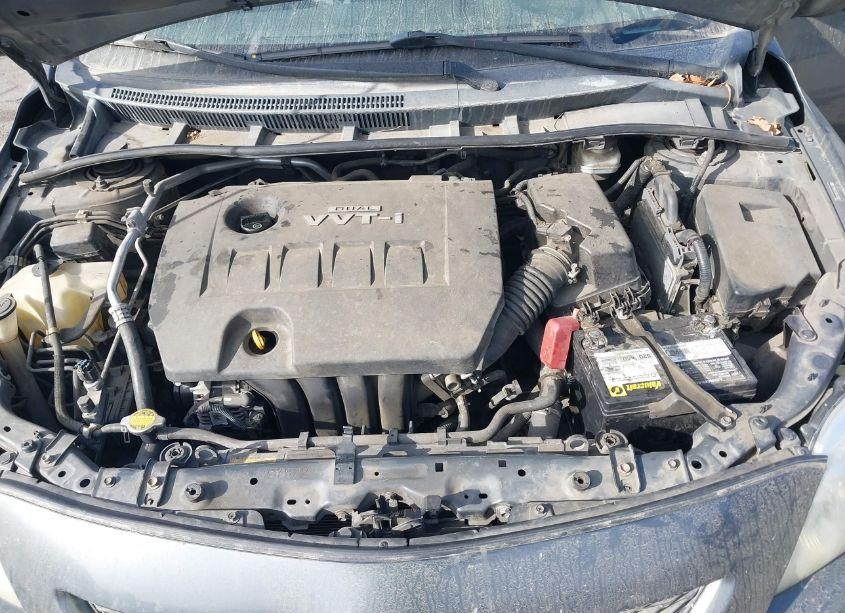 Photo 10 of 2010 Toyota Corolla LE (VIN 2T1BU4EE5AC428081)