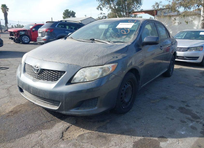 Photo 2 of 2010 Toyota Corolla LE (VIN 2T1BU4EE5AC428081)