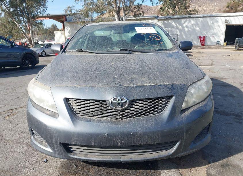 Photo 6 of 2010 Toyota Corolla LE (VIN 2T1BU4EE5AC428081)