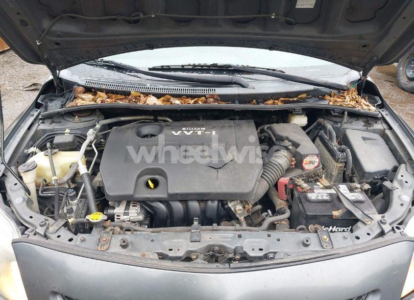 Photo 10 of 2010 Toyota Corolla S (VIN 2T1BU4EE5AC451070)