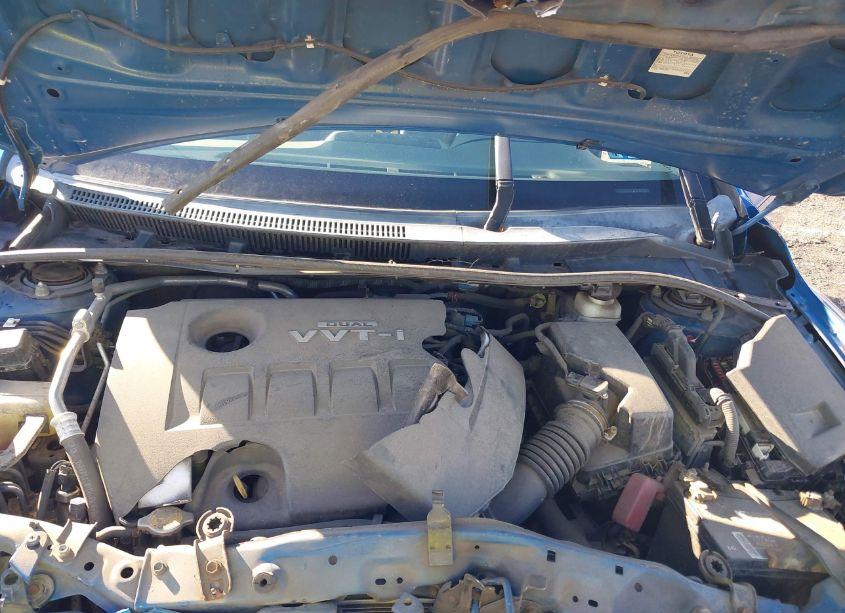 Photo 10 of 2010 Toyota Corolla LE (VIN 2T1BU4EE5AC498938)