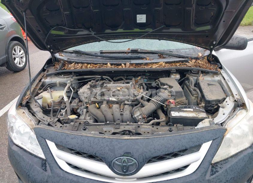 Photo 10 of 2011 Toyota Corolla LE (VIN 2T1BU4EE5BC563739)