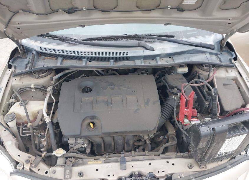 Photo 10 of 2011 Toyota Corolla LE (VIN 2T1BU4EE5BC629500)