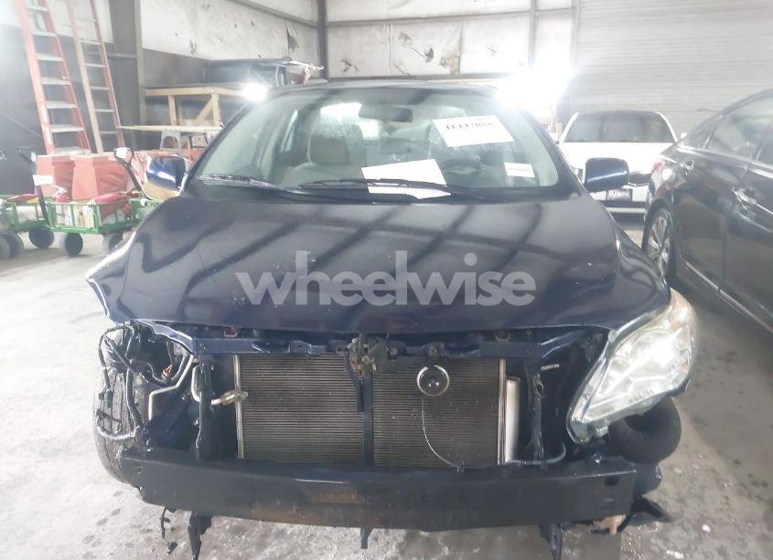 Photo 12 of 2012 Toyota Corolla LE (VIN 2T1BU4EE5CC918068)