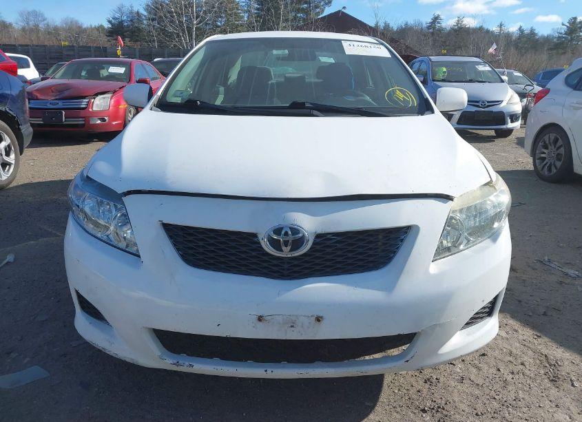 Photo 6 of 2010 Toyota Corolla LE (VIN 2T1BU4EE6AC224910)