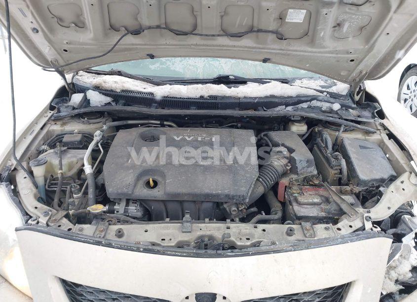 Photo 10 of 2010 Toyota Corolla LE (VIN 2T1BU4EE6AC265747)