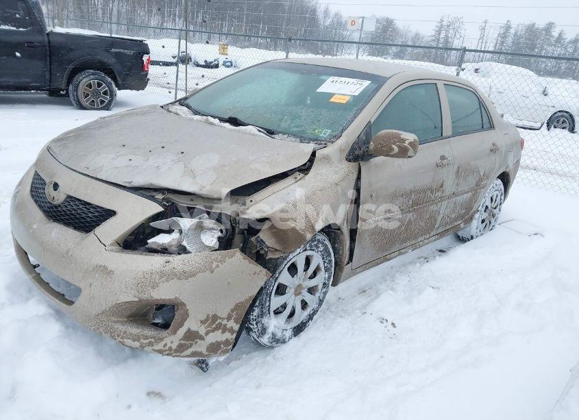 Photo 2 of 2010 Toyota Corolla LE (VIN 2T1BU4EE6AC265747)