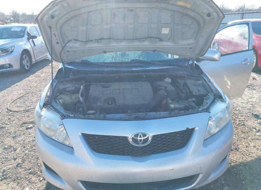 Photo 10 of 2010 Toyota Corolla LE (VIN 2T1BU4EE6AC269720)