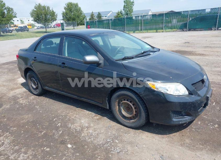 2010 Toyota Corolla LE (VIN 2T1BU4EE6AC285500) main photo