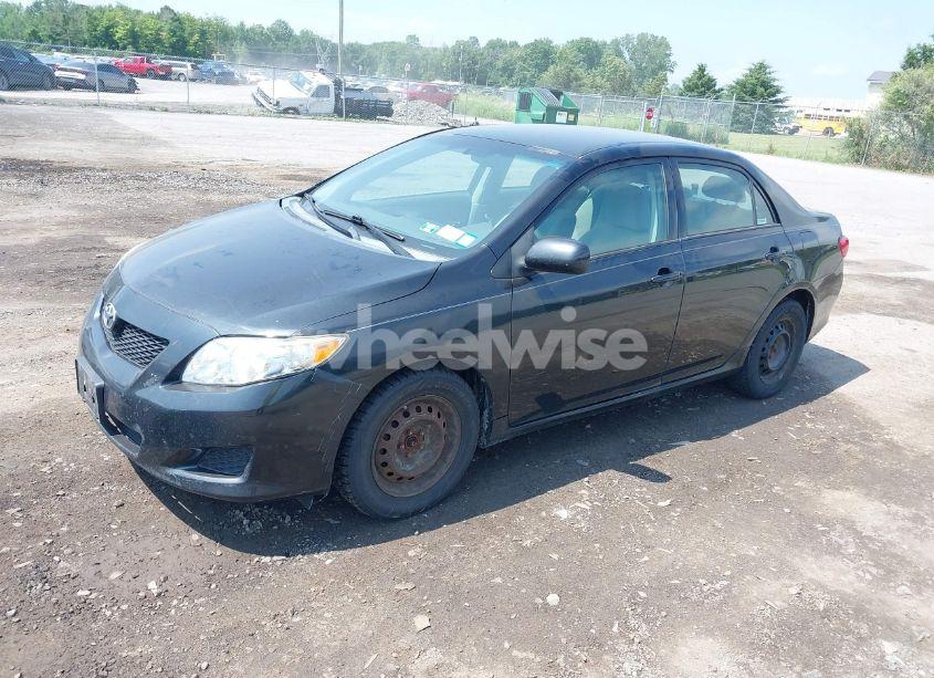 Photo 2 of 2010 Toyota Corolla LE (VIN 2T1BU4EE6AC285500)