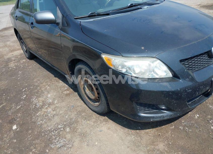 Photo 6 of 2010 Toyota Corolla LE (VIN 2T1BU4EE6AC285500)