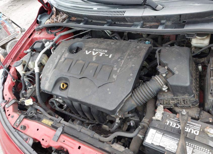 Photo 10 of 2010 Toyota Corolla LE (VIN 2T1BU4EE6AC312422)