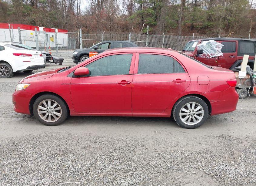 Photo 14 of 2010 Toyota Corolla LE (VIN 2T1BU4EE6AC312422)