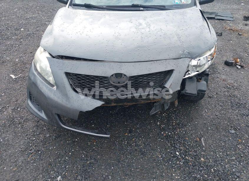 Photo 12 of 2010 Toyota Corolla LE (VIN 2T1BU4EE6AC314896)