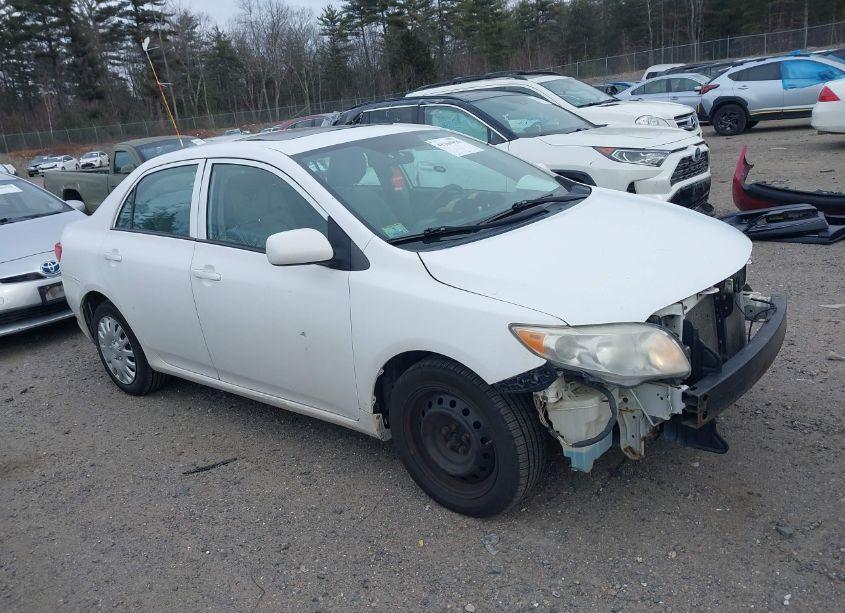 2010 Toyota Corolla LE (VIN 2T1BU4EE6AC339345) main photo