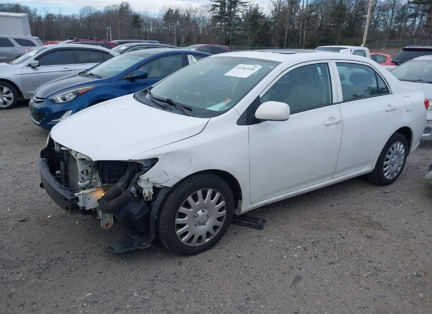 Photo 2 of 2010 Toyota Corolla LE (VIN 2T1BU4EE6AC339345)