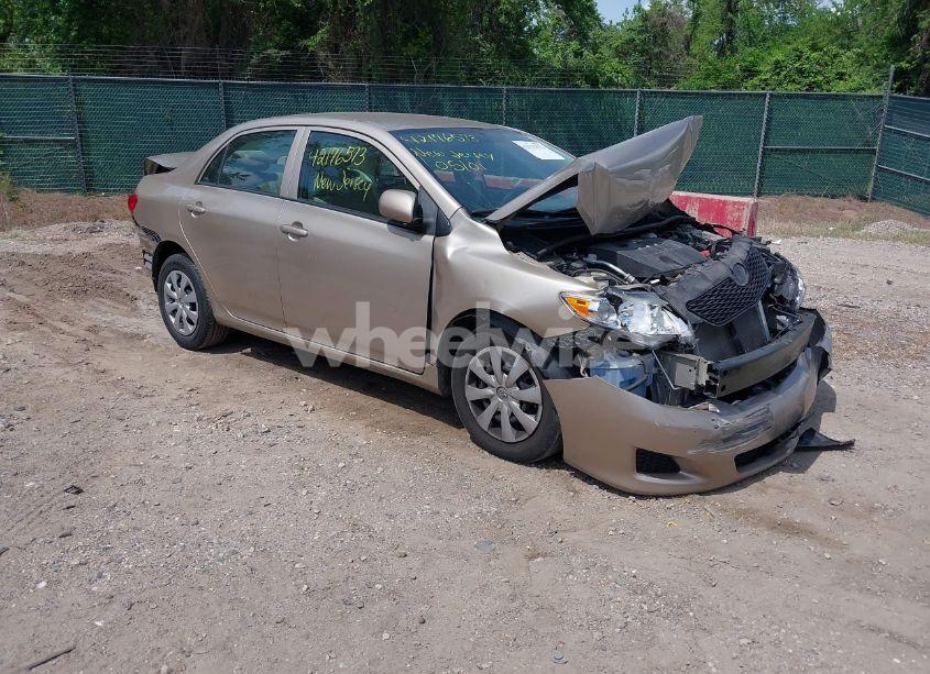 2010 Toyota Corolla LE (VIN 2T1BU4EE6AC375214) main photo