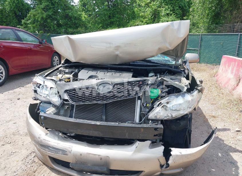 Photo 12 of 2010 Toyota Corolla LE (VIN 2T1BU4EE6AC375214)