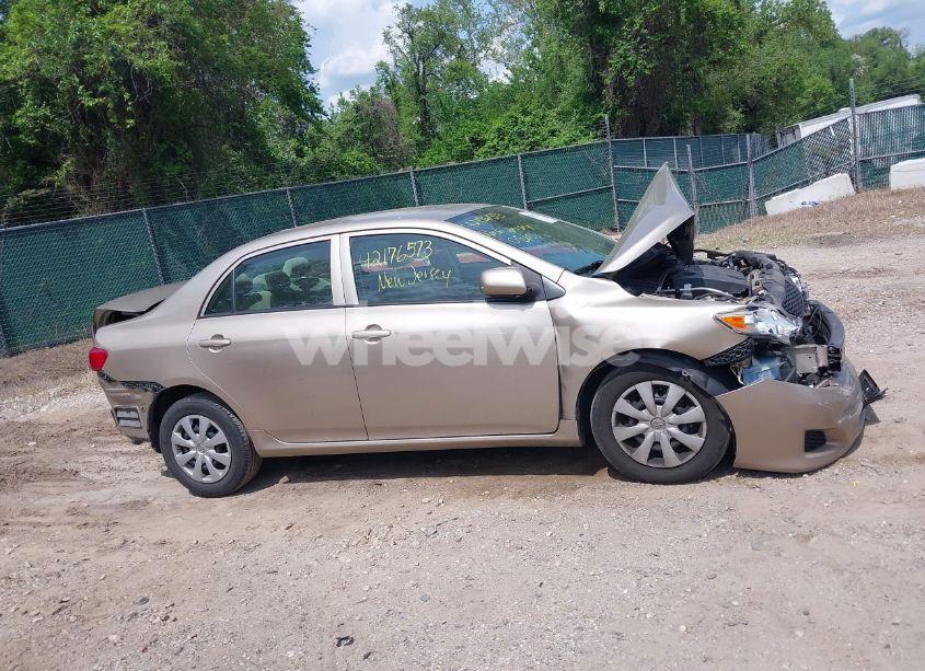 Photo 13 of 2010 Toyota Corolla LE (VIN 2T1BU4EE6AC375214)