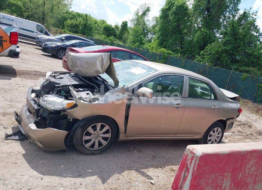 Photo 14 of 2010 Toyota Corolla LE (VIN 2T1BU4EE6AC375214)