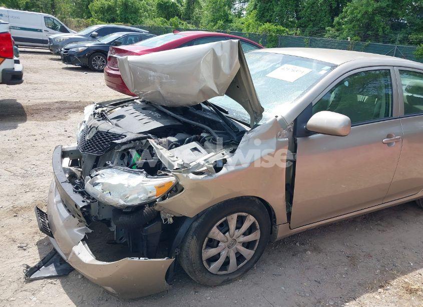 Photo 17 of 2010 Toyota Corolla LE (VIN 2T1BU4EE6AC375214)