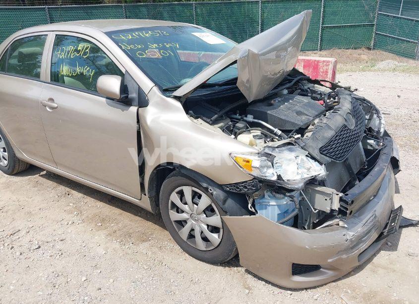 Photo 18 of 2010 Toyota Corolla LE (VIN 2T1BU4EE6AC375214)