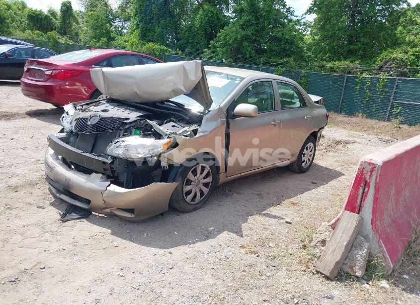 Photo 2 of 2010 Toyota Corolla LE (VIN 2T1BU4EE6AC375214)