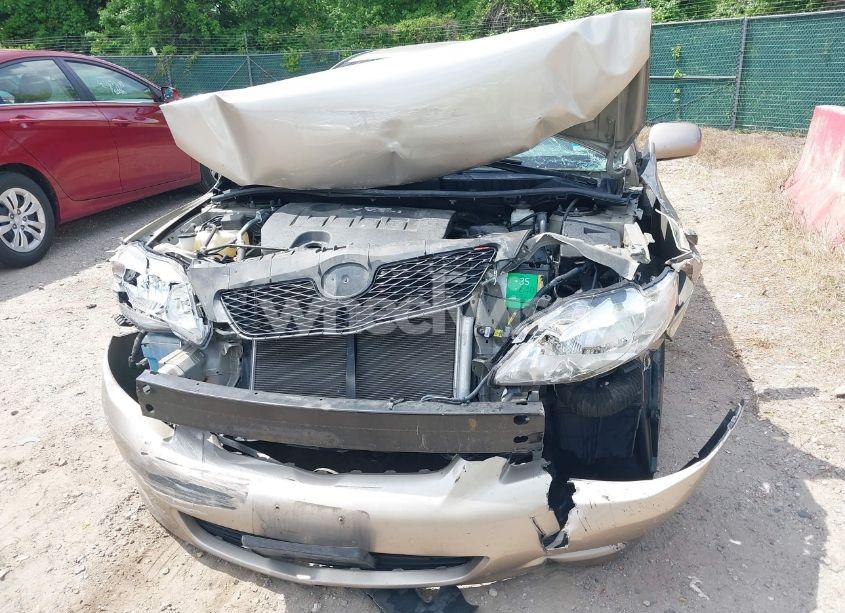 Photo 6 of 2010 Toyota Corolla LE (VIN 2T1BU4EE6AC375214)