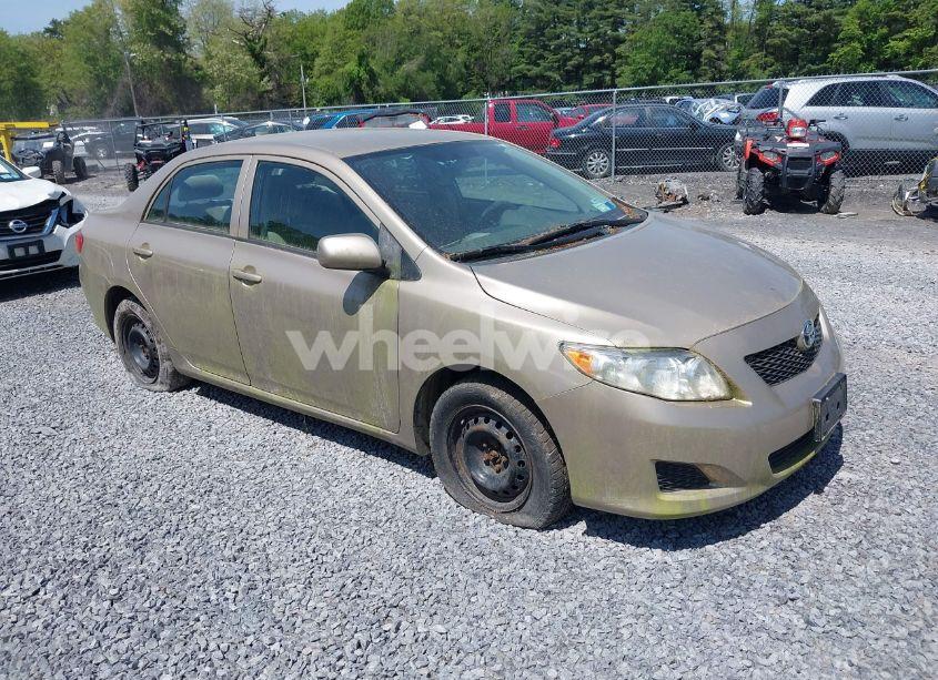 2010 Toyota Corolla LE (VIN 2T1BU4EE6AC404887) main photo