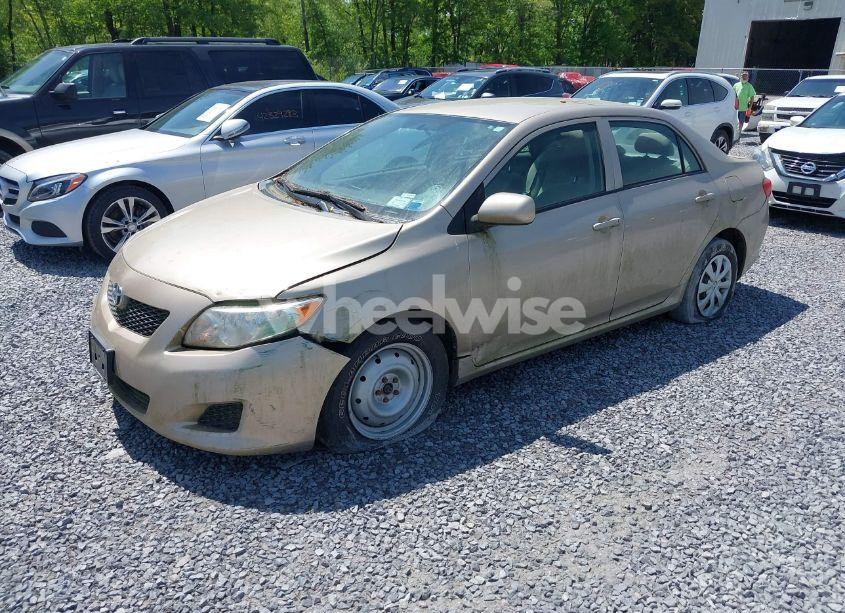 Photo 2 of 2010 Toyota Corolla LE (VIN 2T1BU4EE6AC404887)