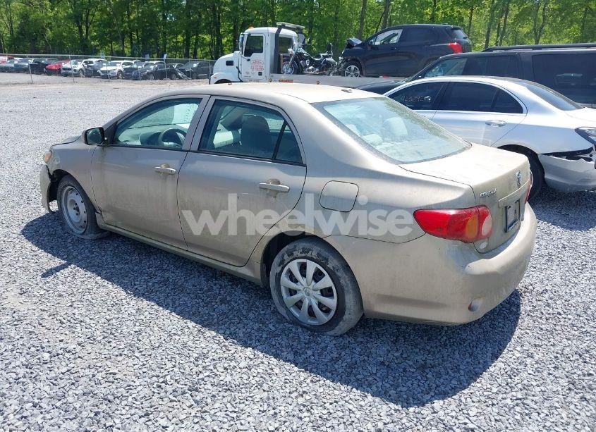 Photo 3 of 2010 Toyota Corolla LE (VIN 2T1BU4EE6AC404887)