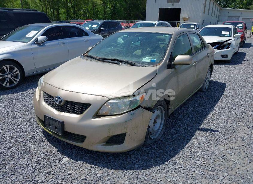 Photo 6 of 2010 Toyota Corolla LE (VIN 2T1BU4EE6AC404887)