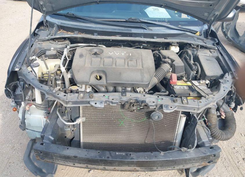 Photo 10 of 2010 Toyota Corolla S (VIN 2T1BU4EE6AC443513)