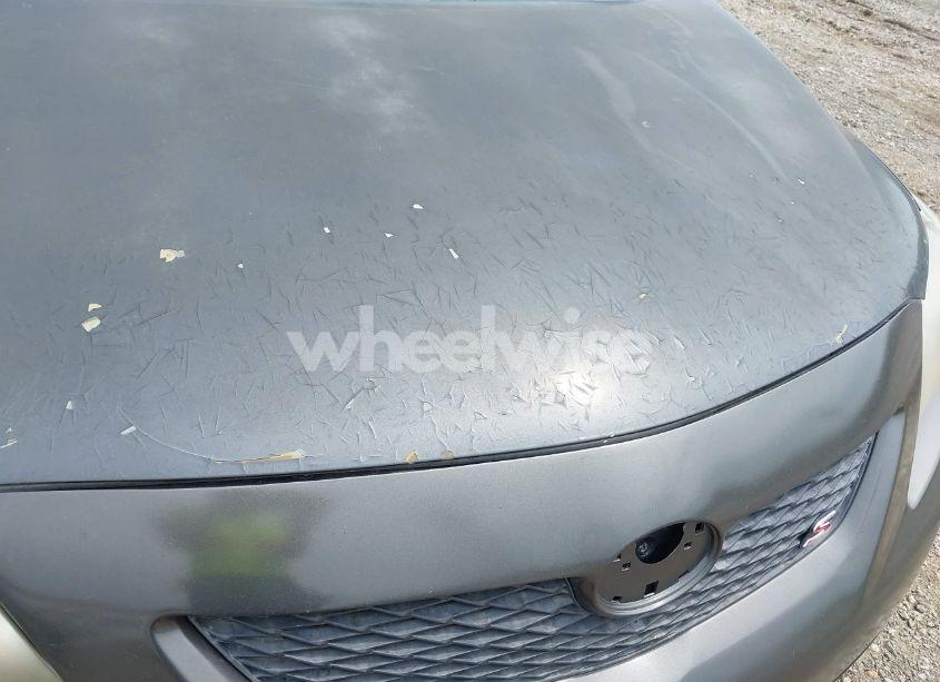 Photo 6 of 2010 Toyota Corolla S (VIN 2T1BU4EE6AC452311)