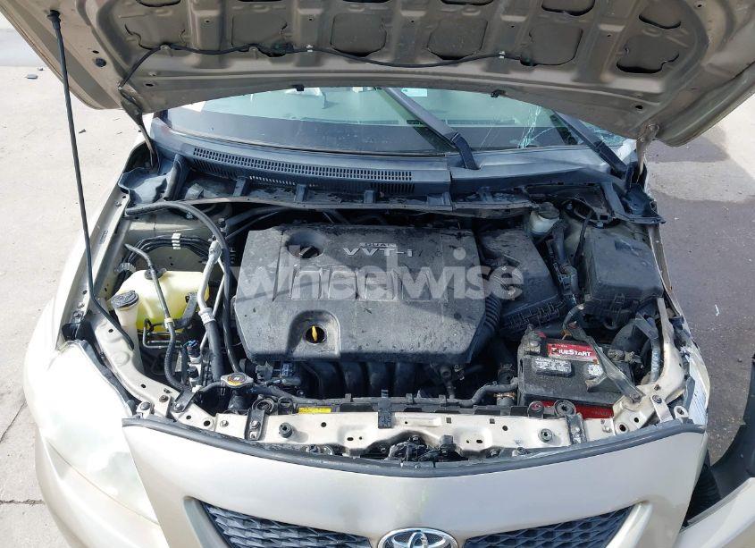 Photo 10 of 2010 Toyota Corolla LE (VIN 2T1BU4EE6AC495272)