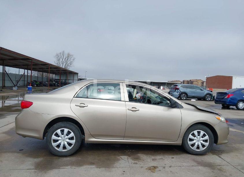 Photo 14 of 2010 Toyota Corolla LE (VIN 2T1BU4EE6AC495272)