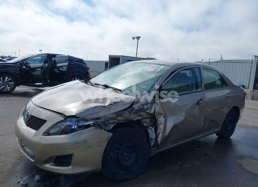 Photo 6 of 2010 Toyota Corolla LE (VIN 2T1BU4EE6AC495272)