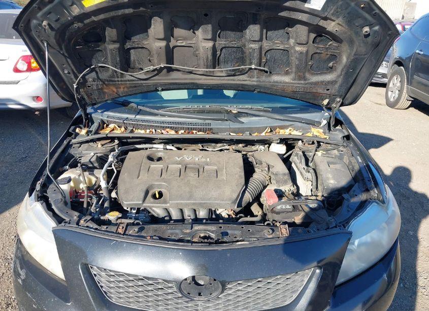 Photo 10 of 2010 Toyota Corolla LE (VIN 2T1BU4EE6AC495773)