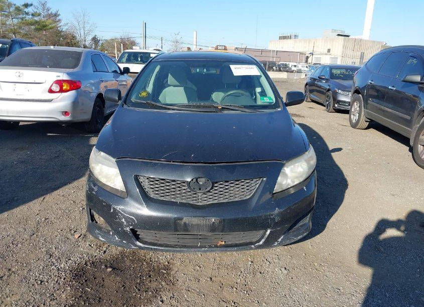 Photo 12 of 2010 Toyota Corolla LE (VIN 2T1BU4EE6AC495773)