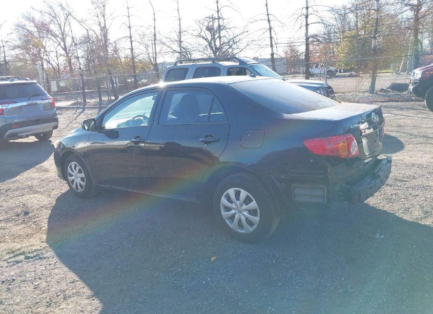 Photo 14 of 2010 Toyota Corolla LE (VIN 2T1BU4EE6AC495773)