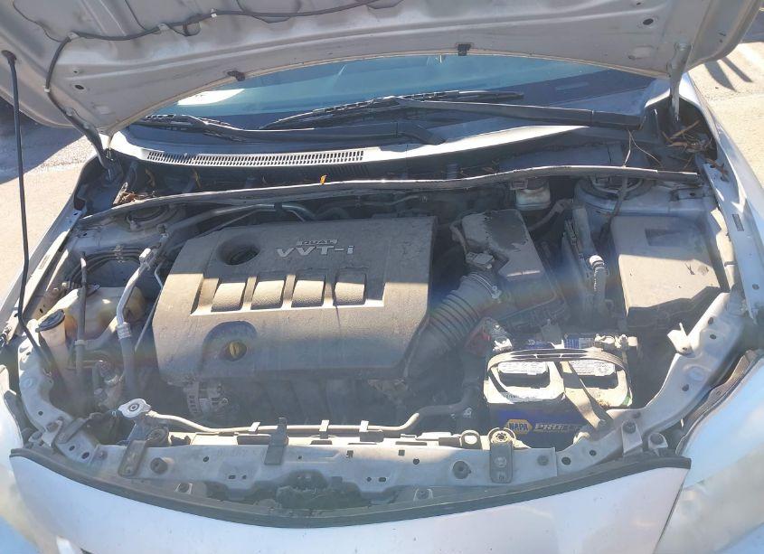 Photo 10 of 2010 Toyota Corolla LE (VIN 2T1BU4EE6AC499595)